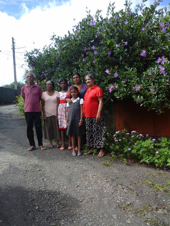 Primrose Inn Kandy Bagian luar foto
