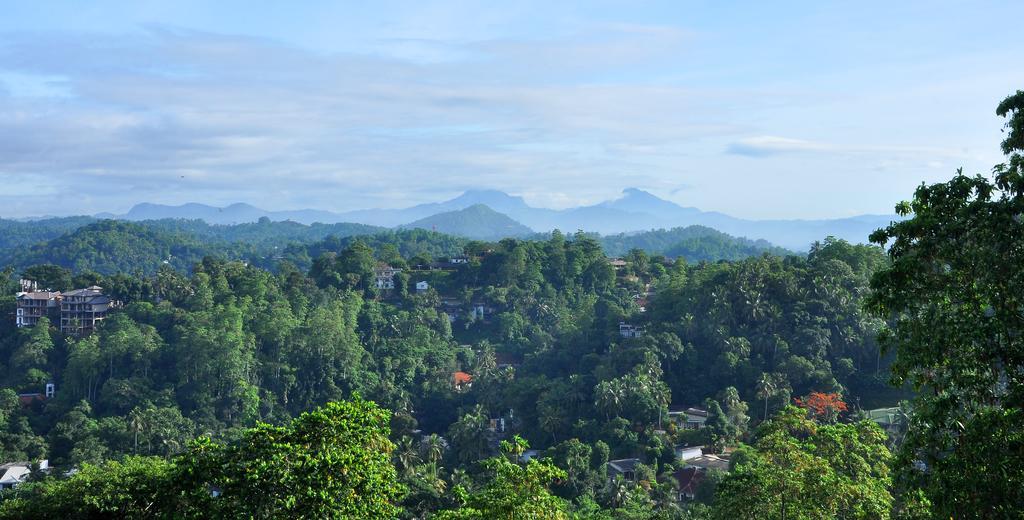 Primrose Inn Kandy Ruang foto